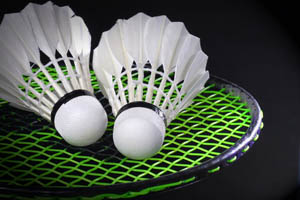 Badminton Bognor Regis